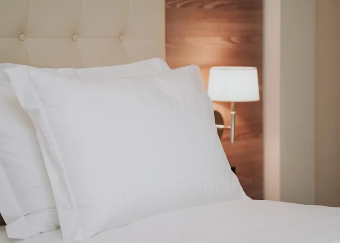 Otel Magnus &