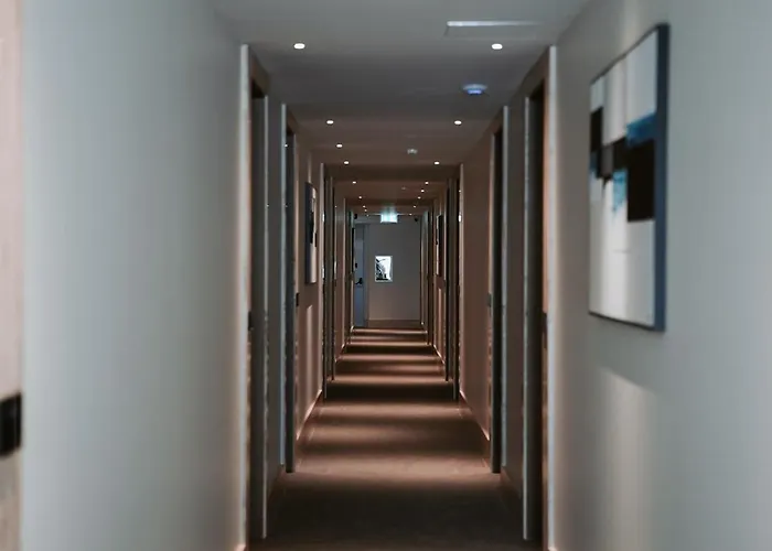 Otel Magnus &